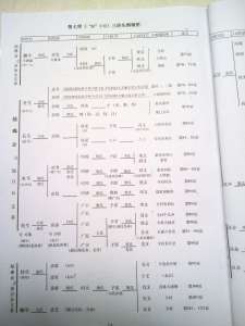 新编本宗支世系图次页.jpg