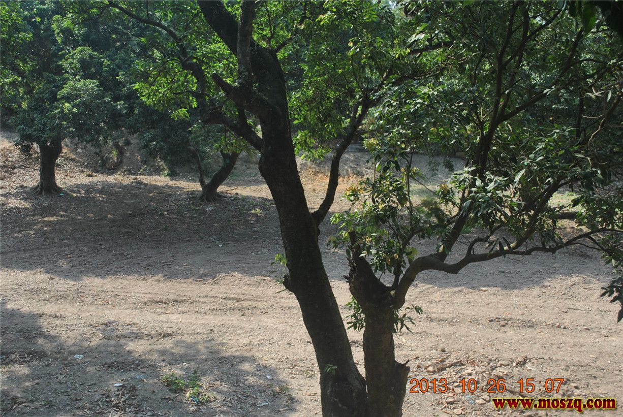 DSC_0533.jpg